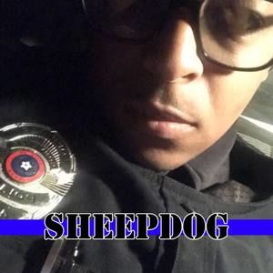 Meet your Posher, Donovan